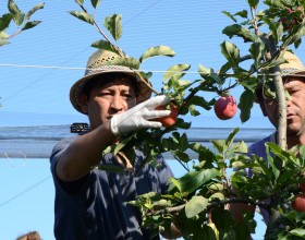 Wir geben Asylwerbern eine Chance