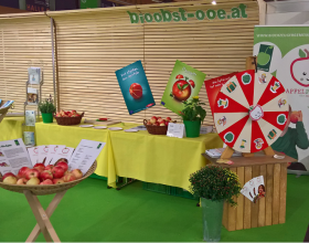 Herbstmesse Wels 7. – 11 Sep. 2016